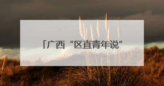 广西“区直青年说”主题宣讲暨五四示范性主题团日活动举行