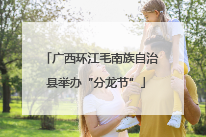 广西环江毛南族自治县举办“分龙节”