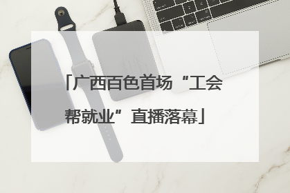 广西百色首场“工会帮就业”直播落幕