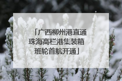 广西柳州港直通珠海高栏港集装箱班轮首航开通