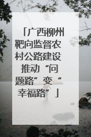 广西柳州靶向监督农村公路建设 推动“问题路”变“幸福路”