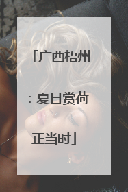广西梧州：夏日赏荷正当时