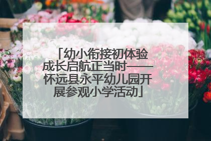 幼小衔接初体验 成长启航正当时——怀远县永平幼儿园开展参观小学活动