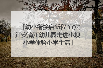 幼小衔接启新程 宜宾江安淯江幼儿园走进小坝小学体验小学生活