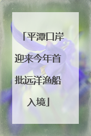 平潭口岸迎来今年首批远洋渔船入境