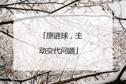 廖进球，主动交代问题