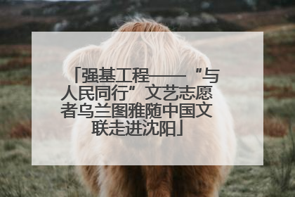 强基工程——“与人民同行”文艺志愿者乌兰图雅随中国文联走进沈阳