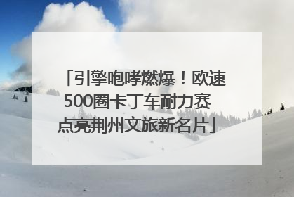 引擎咆哮燃爆！欧速500圈卡丁车耐力赛点亮荆州文旅新名片