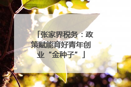 张家界税务：政策赋能育好青年创业“金种子”