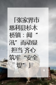 张家界市慈利县杉木桥镇：闻“汛”而动显担当 齐心筑牢“安全堤”