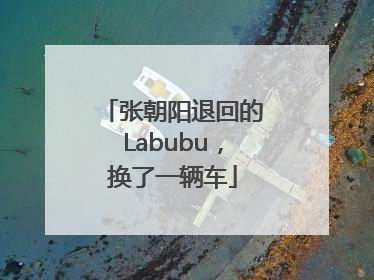 张朝阳退回的Labubu，换了一辆车