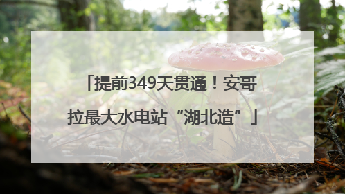 提前349天贯通！安哥拉最大水电站“湖北造”