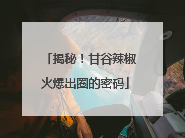 揭秘！甘谷辣椒火爆出圈的密码