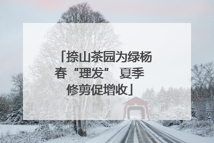 捺山茶园为绿杨春“理发” 夏季修剪促增收