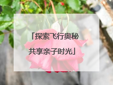 探索飞行奥秘 共享亲子时光