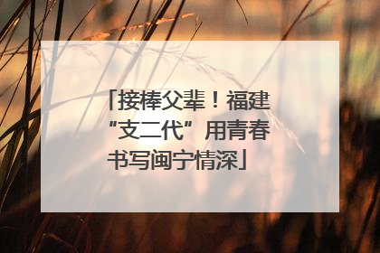 接棒父辈！福建“支二代”用青春书写闽宁情深