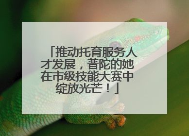 推动托育服务人才发展，普陀的她在市级技能大赛中绽放光芒！
