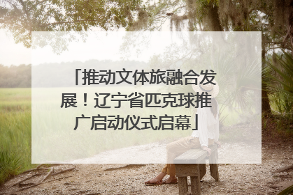 推动文体旅融合发展！辽宁省匹克球推广启动仪式启幕