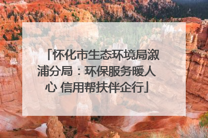 怀化市生态环境局溆浦分局：环保服务暖人心 信用帮扶伴企行