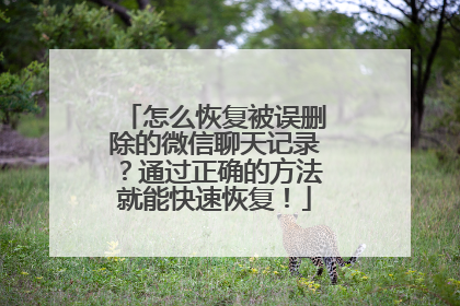 怎么恢复被误删除的微信聊天记录？通过正确的方法就能快速恢复！