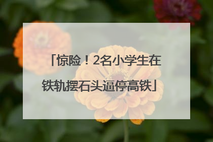 惊险！2名小学生在铁轨摆石头逼停高铁