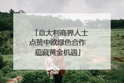 意大利商界人士点赞中欧绿色合作蕴藏黄金机遇