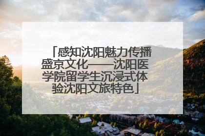 感知沈阳魅力传播盛京文化——沈阳医学院留学生沉浸式体验沈阳文旅特色