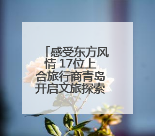 感受东方风情 17位上合旅行商青岛开启文旅探索之旅