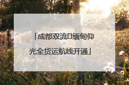 成都双流⇌缅甸仰光全货运航线开通