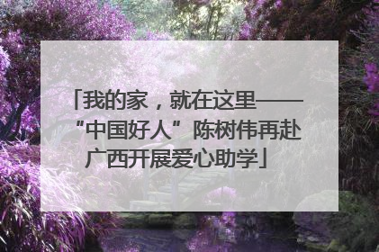 我的家，就在这里——“中国好人”陈树伟再赴广西开展爱心助学