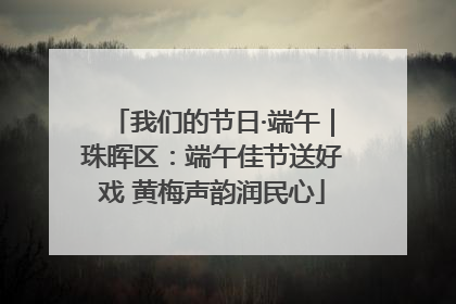 我们的节日·端午｜珠晖区：端午佳节送好戏 黄梅声韵润民心