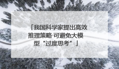 我国科学家提出高效推理策略 可避免大模型“过度思考”