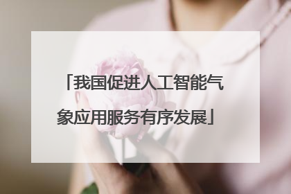 我国促进人工智能气象应用服务有序发展
