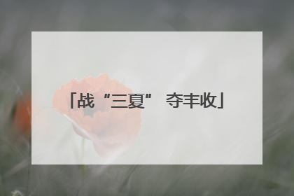 战“三夏” 夺丰收