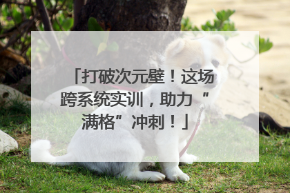 打破次元壁！这场跨系统实训，助力“满格”冲刺！