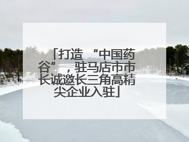 打造 “中国药谷”，驻马店市市长诚邀长三角高精尖企业入驻