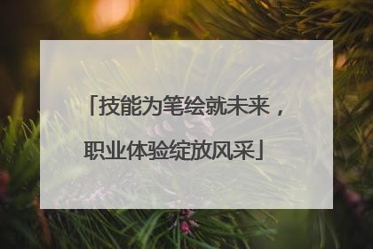 技能为笔绘就未来，职业体验绽放风采