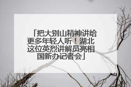 把大别山精神讲给更多年轻人听！湖北这位英烈讲解员亮相国新办记者会