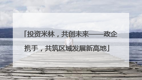 投资米林，共创未来——政企携手，共筑区域发展新高地