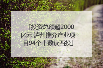 投资总额超2000亿元 泸州推介产业项目94个丨数读西投