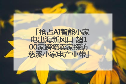 抢占AI智能小家电出海新风口 超100家跨境卖家探访慈溪小家电产业带