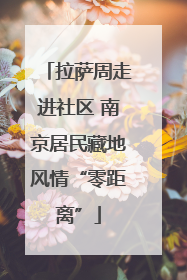 拉萨周走进社区 南京居民藏地风情“零距离”