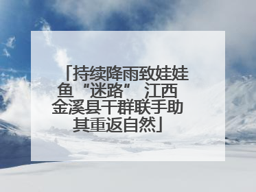 持续降雨致娃娃鱼“迷路” 江西金溪县干群联手助其重返自然