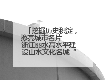 挖掘历史积淀，擦亮城市名片——浙江丽水高水平建设山水文化名城“闯出”创新之路