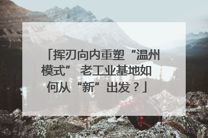 挥刃向内重塑“温州模式” 老工业基地如何从“新”出发？