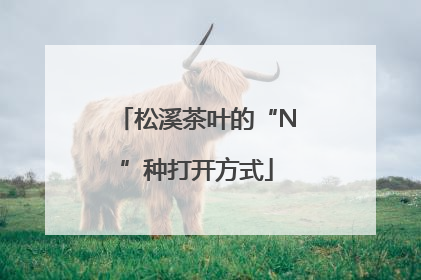 松溪茶叶的“N”种打开方式