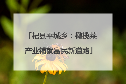 杞县平城乡：橄榄菜产业铺就富民新道路