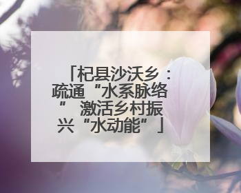 杞县沙沃乡：疏通“水系脉络” 激活乡村振兴“水动能”
