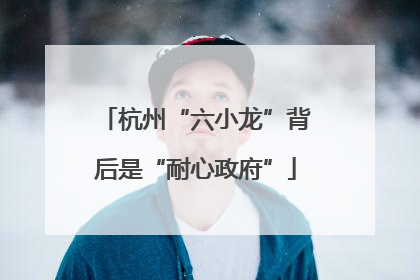 杭州“六小龙”背后是“耐心政府”