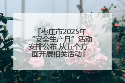 枣庄市2025年“安全生产月”活动安排公布 从五个方面开展相关活动